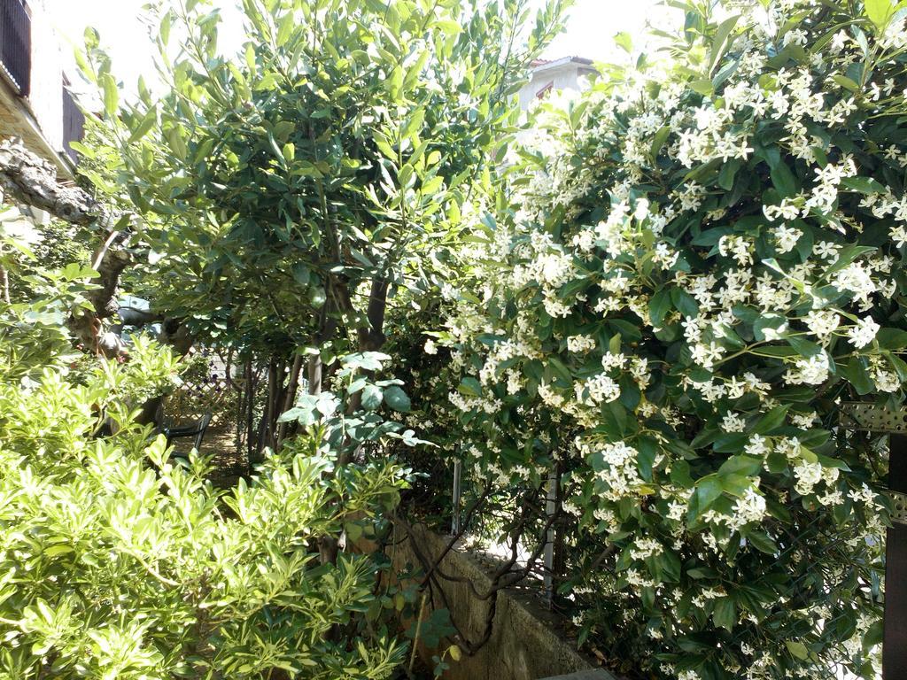B&B A Casa Di Nonna Fondi Eksteriør billede