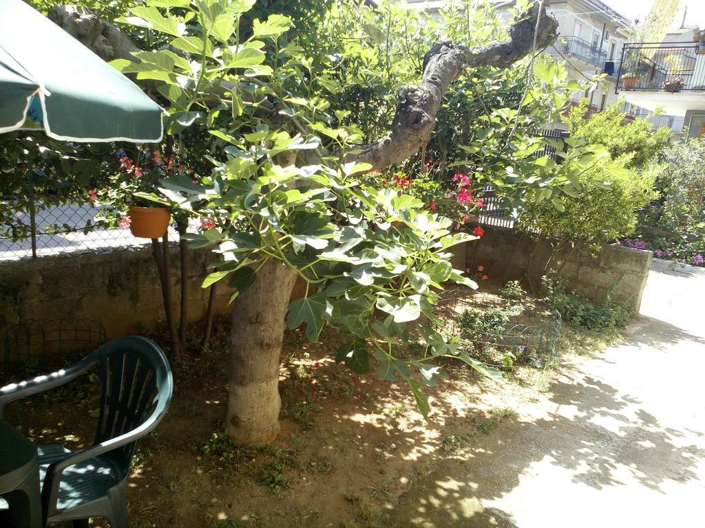 B&B A Casa Di Nonna Fondi Eksteriør billede